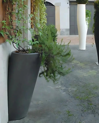 Serralunga Pot Au Mur planter - Buy now on ShopDecor - Discover the best products by SERRALUNGA design