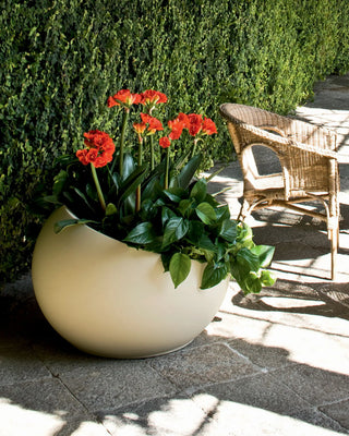 Serralunga Uovo di Colombo planter - Buy now on ShopDecor - Discover the best products by SERRALUNGA design