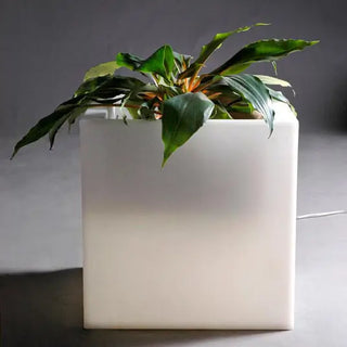 Slide Q-Pot Light Vase - Buy now on ShopDecor - Discover the best products by SLIDE design