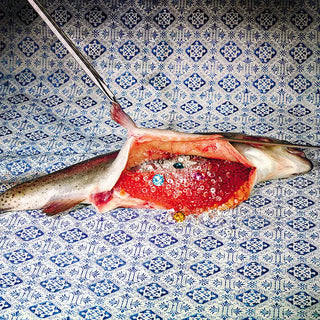 Seletti Toiletpaper tablecloth - Buy now on ShopDecor - Discover the best products by TOILETPAPER HOME design