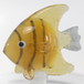 WD Gold Fish