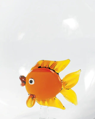 WD Lifestyle pitcher 1.7 lt - 1.79 qt.