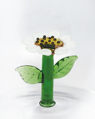 WD Lifestyle Fruits and Flowers tumbler