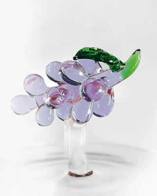 WD Lifestyle Fruits and Flowers tumbler