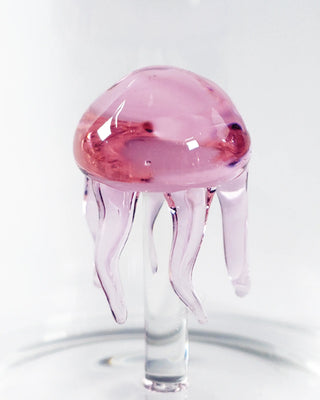 WD Lifestyle Marine Garden tumbler - Buy now on ShopDecor - Discover the best products by WD LIFESTYLE design