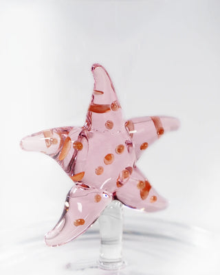 WD Lifestyle Marine Garden tumbler - Buy now on ShopDecor - Discover the best products by WD LIFESTYLE design