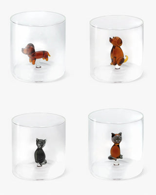 WD Lifestyle Dogs and Cats set 4 tumblers mix 1 - Buy now on ShopDecor - Discover the best products by WD LIFESTYLE design