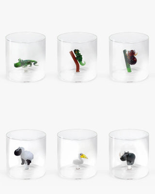 WD LIfestyle Amazonia set 6 tumblers mix 1 - Buy now on ShopDecor - Discover the best products by WD LIFESTYLE design