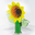 WD Sunflower