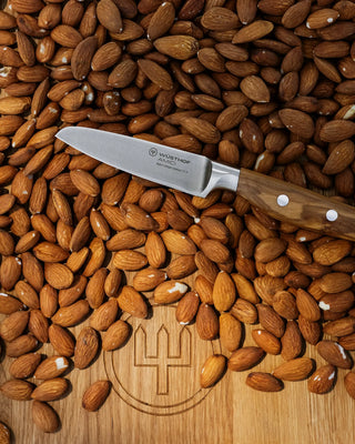 Wusthof Amici paring knife 9 cm - 3 1/2 in - Buy now on ShopDecor - Discover the best products by WÜSTHOF design