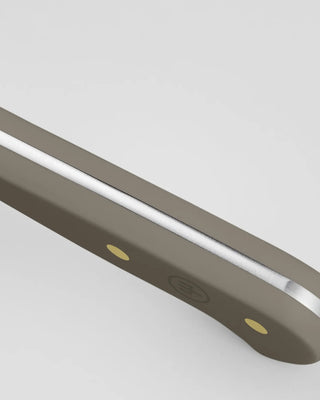 Wusthof Classic steak knife 12 cm - 4 1/2 in - Buy now on ShopDecor - Discover the best products by WÜSTHOF design