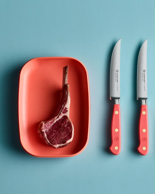 Wusthof Classic steak knife 12 cm - 4 1/2 in - Buy now on ShopDecor - Discover the best products by WÜSTHOF design