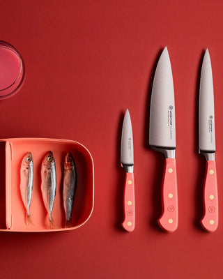 Wusthof Classic utility/carving knife - Buy now on ShopDecor - Discover the best products by WÜSTHOF design