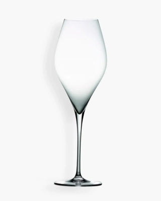 Zafferano VEM glass for sparkling and white wines cl 43 - 14.54 oz - Buy now on ShopDecor - Discover the best products by ZAFFERANO design