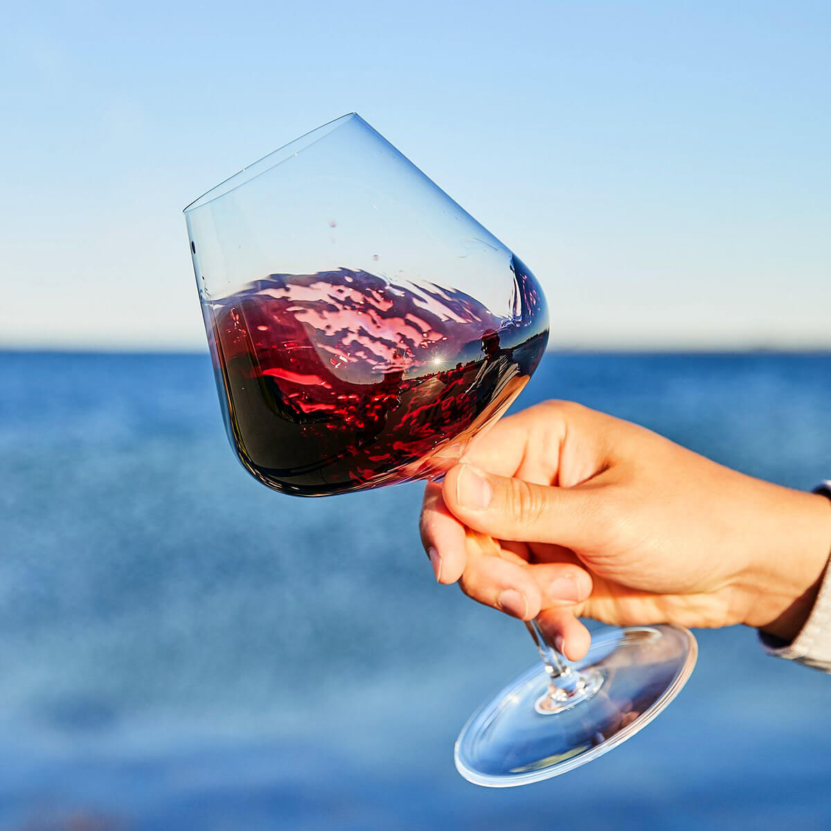 Zalto Denk'Art Burgunderwein Stielglas