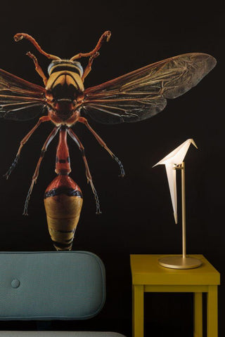 Moooi Perch Light LED table lamp - Buy now on ShopDecor - Discover the best products by MOOOI design