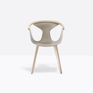 Pedrali Fox 3725 armchair with ash legs Pedrali Sand SA100E - Buy now on ShopDecor - Discover the best products by PEDRALI design