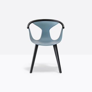 Pedrali Fox 3725 armchair with ash legs Pedrali Blue BL - Buy now on ShopDecor - Discover the best products by PEDRALI design