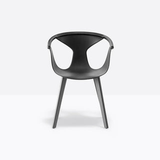 Pedrali Fox 3725 armchair with ash legs Black - Buy now on ShopDecor - Discover the best products by PEDRALI design