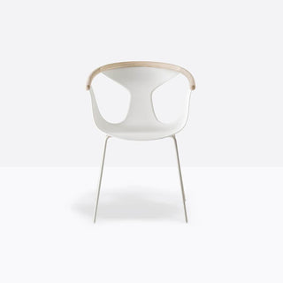 Pedrali Fox 3726 armchair with ash backrest Pedrali White BI200 - Buy now on ShopDecor - Discover the best products by PEDRALI design