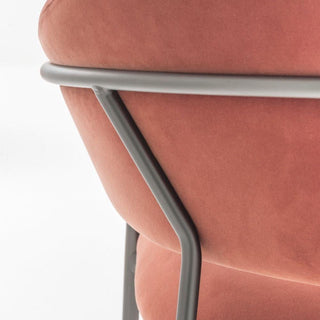 Pedrali Jazz 3716 padded armchair in velvet or fabric - Buy now on ShopDecor - Discover the best products by PEDRALI design