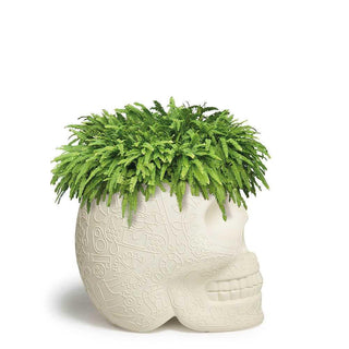 Qeeboo Mexico planter and champagne cooler in the shape of a skull - Buy now on ShopDecor - Discover the best products by QEEBOO design