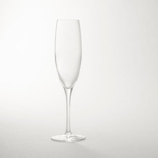 Schönhuber Franchi Basic Flùte glass cl. 17,5 - Buy now on ShopDecor - Discover the best products by SCHÖNHUBER FRANCHI design
