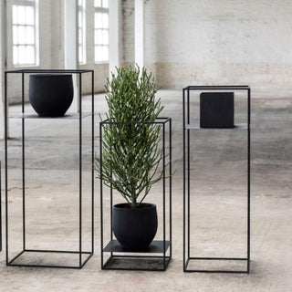 Serax Display plant rack black h. 90 cm. - Buy now on ShopDecor - Discover the best products by SERAX design