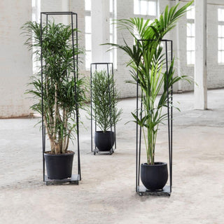 Serax Metal Sculptures plant rack h. 156 cm. - Buy now on ShopDecor - Discover the best products by SERAX design